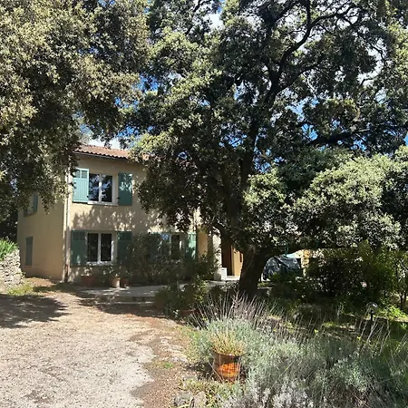 Villa Maison Provencale 200m2 Piscine Calme 50m Du Bus Villeneuve-lès-Avignon